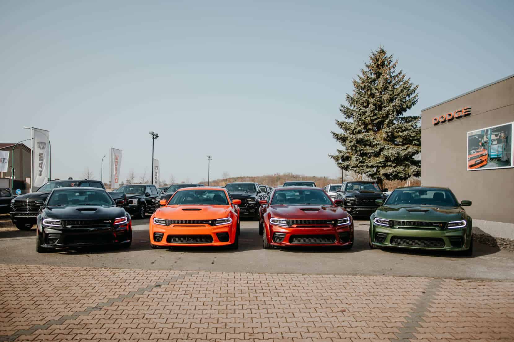 Autohaus Köhler hochwertige US Neu & Gebrauchtwagen aus Potsdam